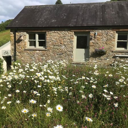 Danygraig Cottage คาร์มาเทน ภายนอก รูปภาพ