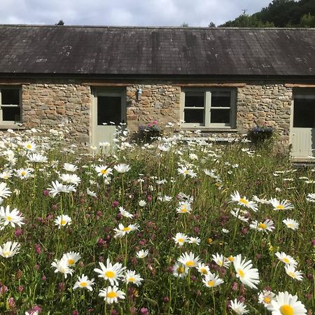 Danygraig Cottage คาร์มาเทน ภายนอก รูปภาพ