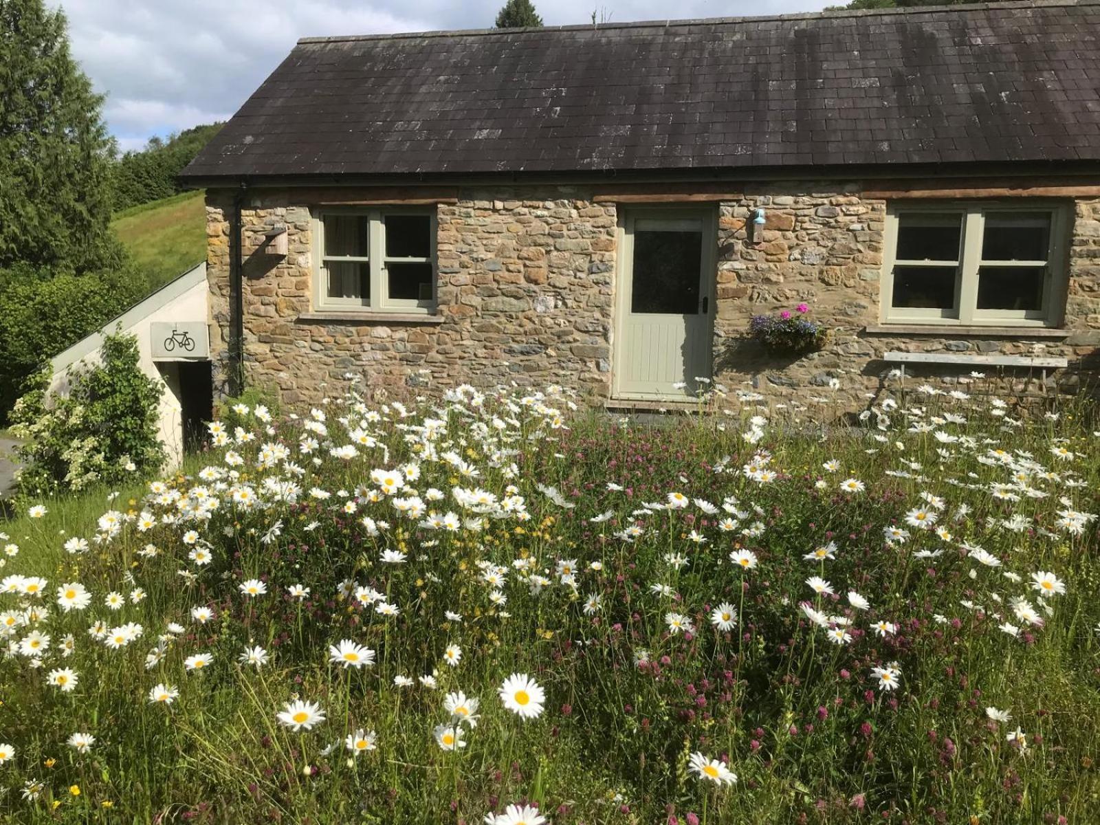 Danygraig Cottage คาร์มาเทน ภายนอก รูปภาพ