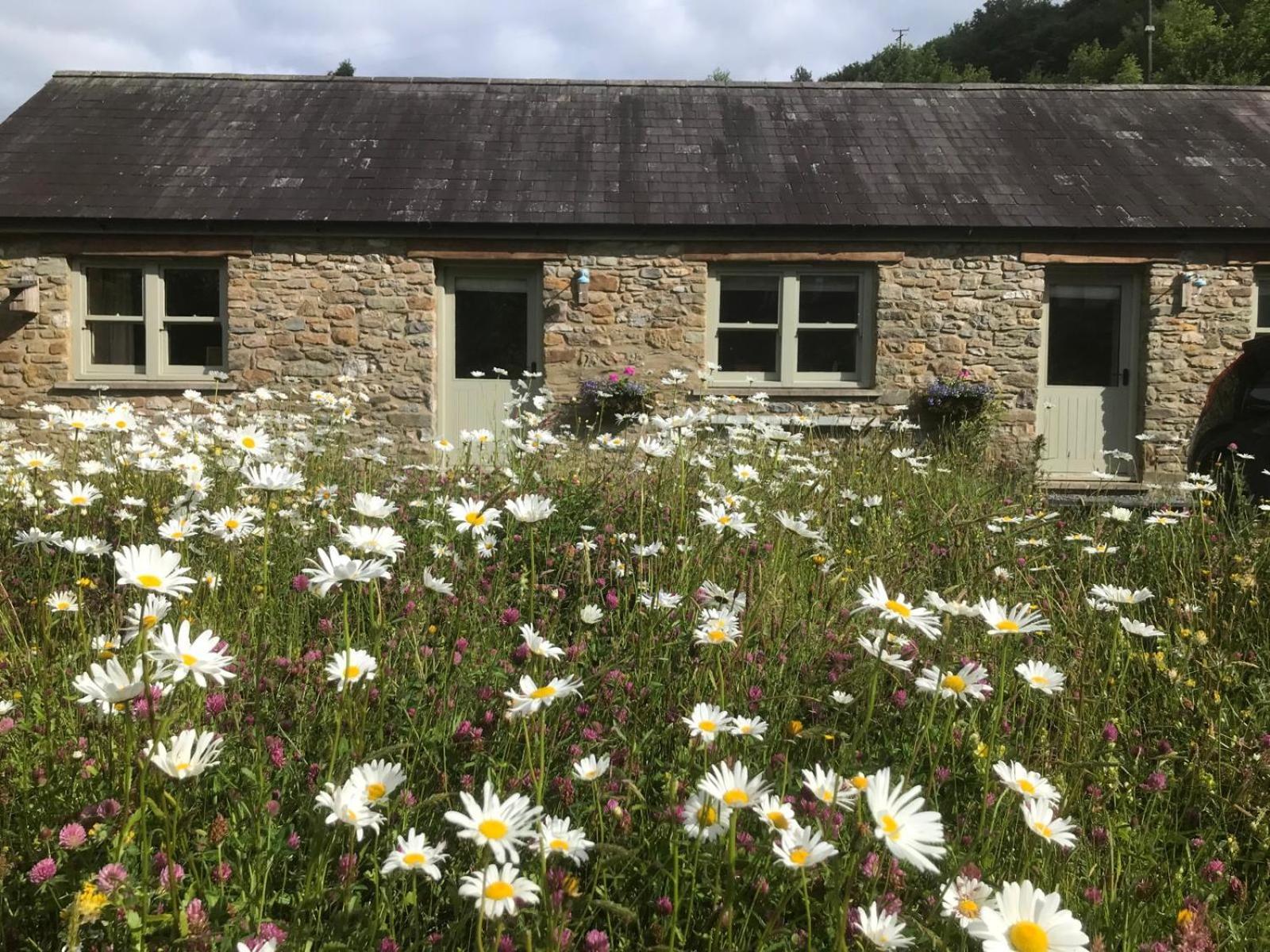 Danygraig Cottage คาร์มาเทน ภายนอก รูปภาพ