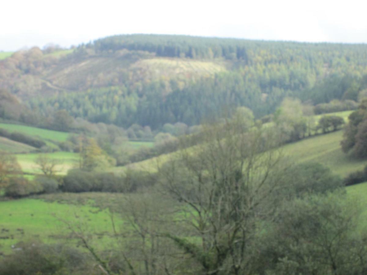 Danygraig Cottage คาร์มาเทน ภายนอก รูปภาพ