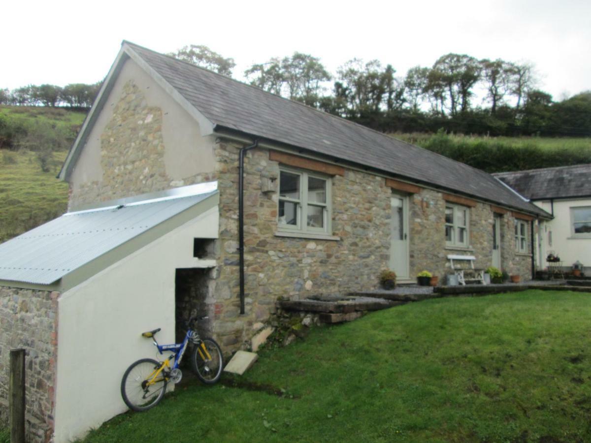 Danygraig Cottage คาร์มาเทน ภายนอก รูปภาพ